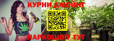 гидра Аргун