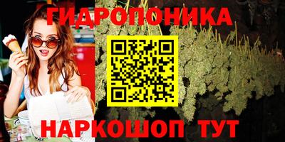 гидра Аргун