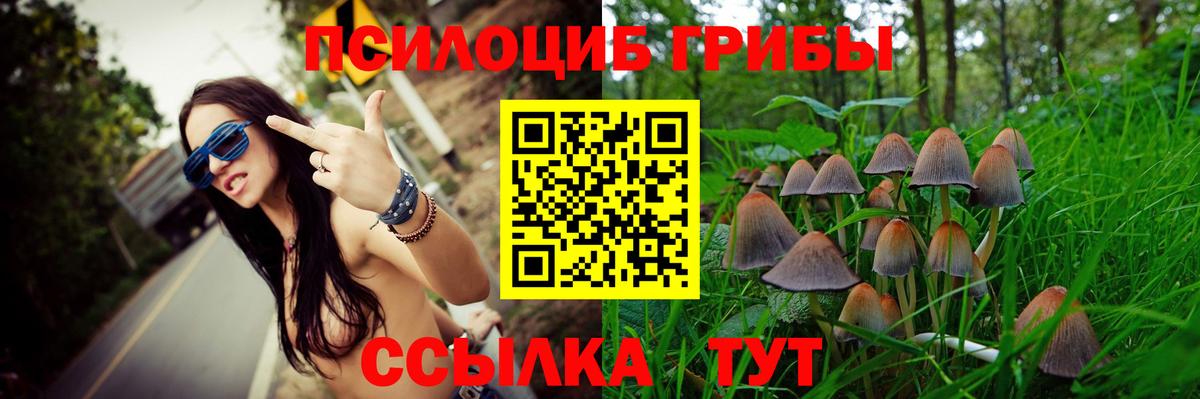 Псилоцибиновые грибы Magic Shrooms Богородицк