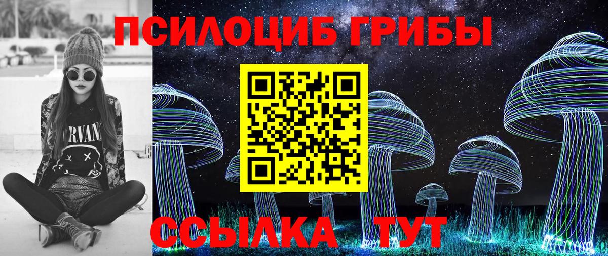 Галлюциногенные грибы прущие грибы  Галлюциногенные грибы Psilocybine cubensis  Вход с VPN  Богородицк 